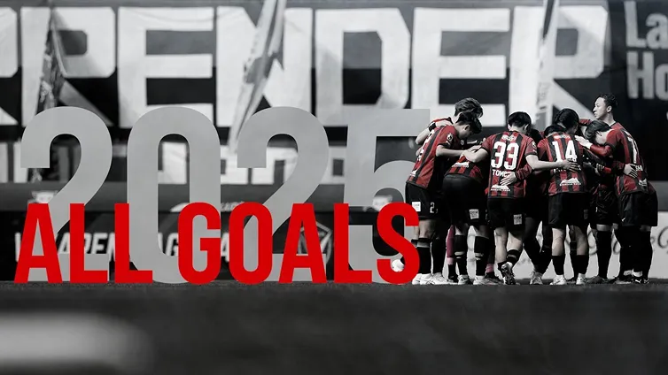 2025 ALLGOALS